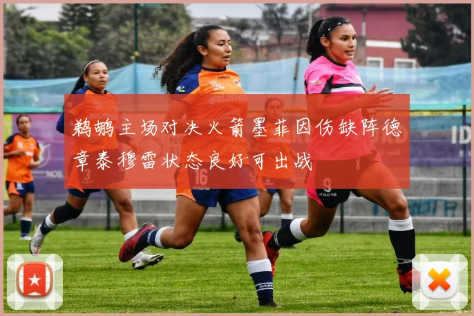 鹈鹕主场对决火箭墨菲因伤缺阵德章泰穆雷状态良好可出战