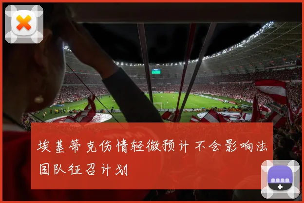 埃基蒂克伤情轻微预计不会影响法国队征召计划